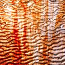 Rippled Glass Sheet Red Streaky w/ Multi Colors and Iridescent Finish