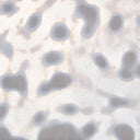 Glass Sheet White Mottled