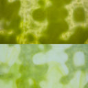 Glass Sheet Green Mottled with White Streaky