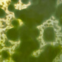 Glass Sheet Green Mottled with White Streaky