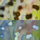 Glass Sheet Mixed Colors Mottled  w/ Purple/Yellow/Blue Streaky