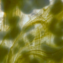 Glass Sheet Yellow Mottled